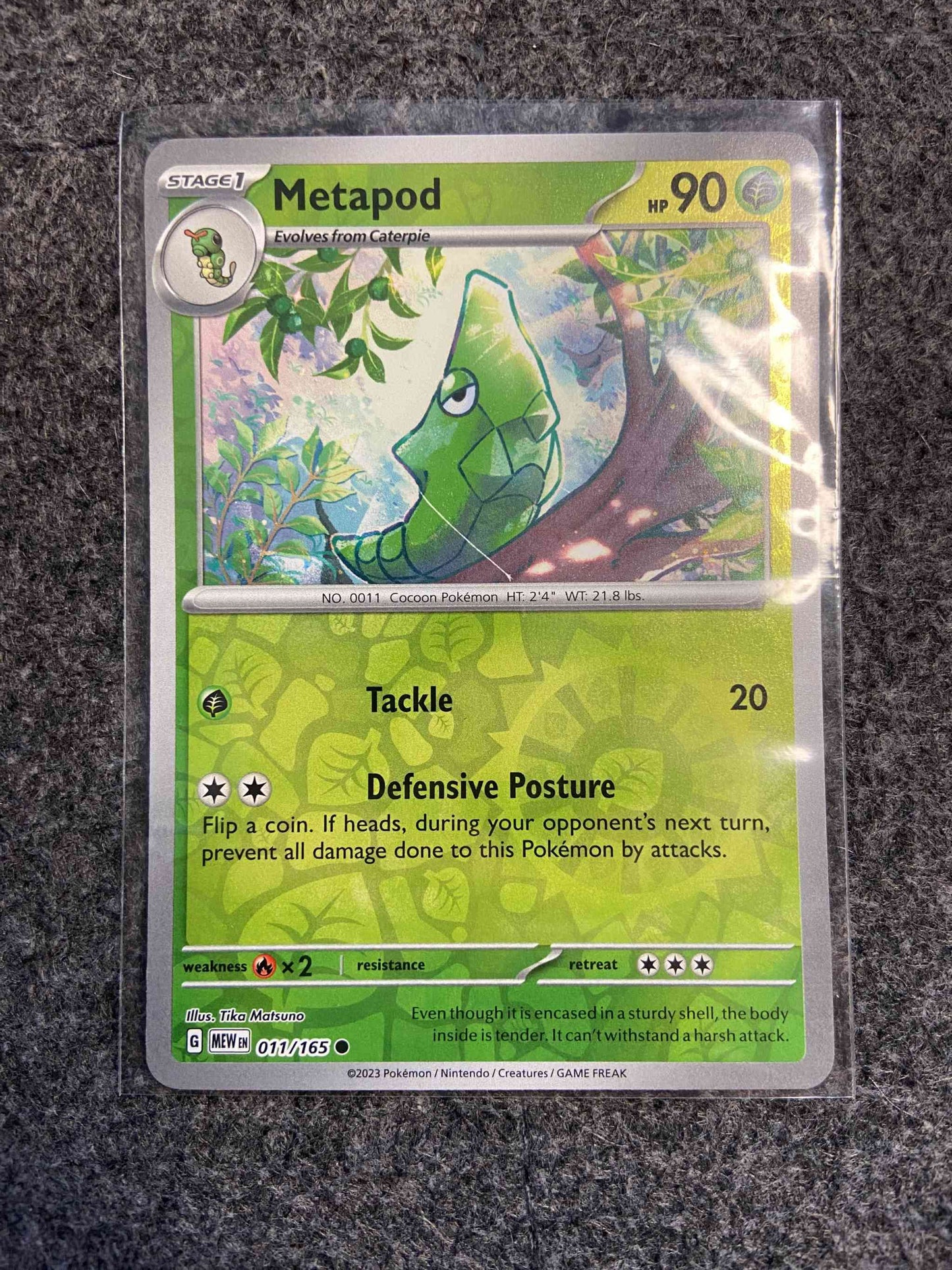 Metapod 